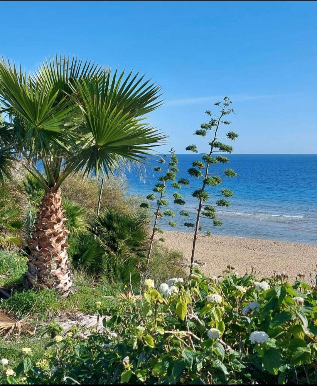 Villa Sul Mare Don Toto' Avola Eksteriør billede
